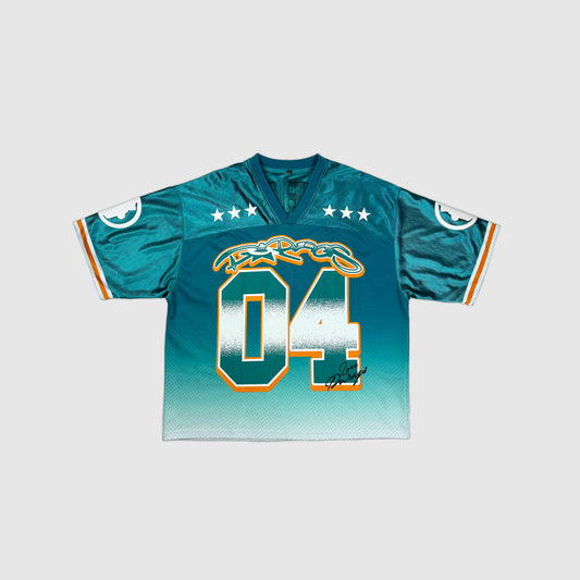 DFL Dolphins Jersey image 0